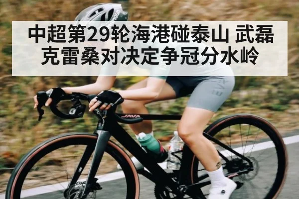 中超第29轮海港碰泰山 武磊克雷桑对决定争冠分水岭